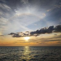 The Real Bob C (@bob99019751) 's Twitter Profile