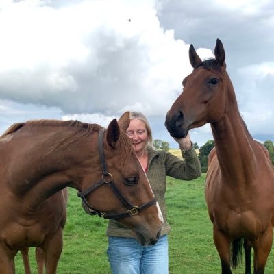 Writer, racehorse breeder. Mares: BAGATELLE with 2024 KAMEKO filly, CICELY in foal to STUDY OF MAN for 2025. Pinhooking UBETTABELIEVEIT colt. All @CharlockStud
