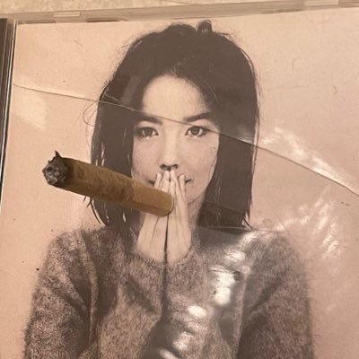 bjorkformerluvr's profile picture. #1 (retired) vitasoy fan