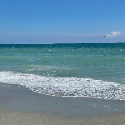 Bayrhea2001's profile picture. 