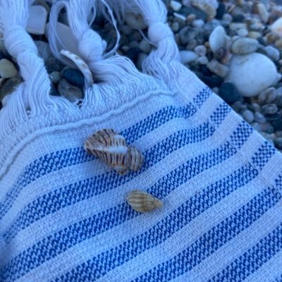 todoonada__'s profile picture. 