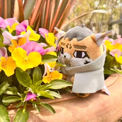 チャムさんのプロフィール画像