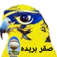 صقر بريده( التعاون بتوفيق الله بأيدي أمينه )(@saahb1439) 's Twitter Profile Photo