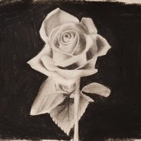 Rassmi 🌟 (@homysiri) 's Twitter Profile Photo