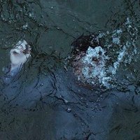 Mousa Maidé (@mousa_maide) 's Twitter Profile