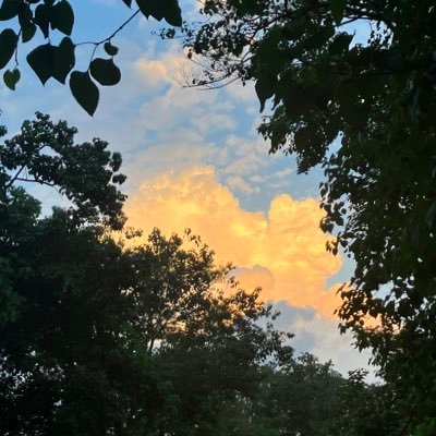 $Crypto $btc $sol $eth 🥵 Building https://t.co/EGPA9Hel7F