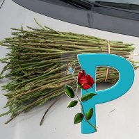 Pablo Priego Jimenez (@pablopriegojim1) 's Twitter Profile
