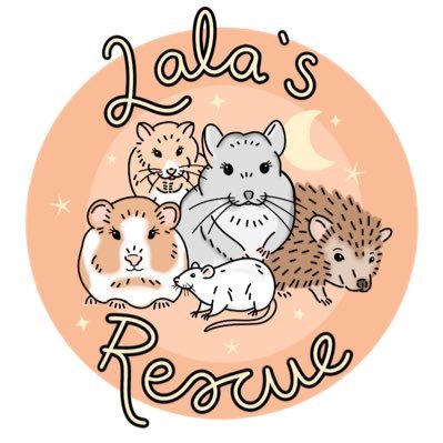 rescuing animals in need 🐶🐱🐰🐭🐽🦔🐁🦎🐠🐾