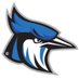 Raytown Lady Jays (@raytownjays) Twitter profile photo