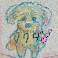 フクダ (@ayasa_vivlos) 's Twitter Profile Photo