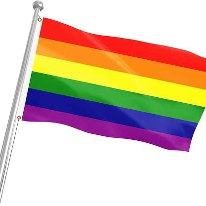 Tengo 19 años soy gay pasivo busco amigos o algo mas que amigos. 😘😘😘