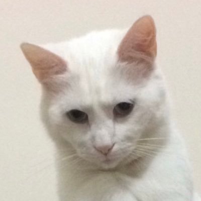 naozdemir_'s profile picture. 