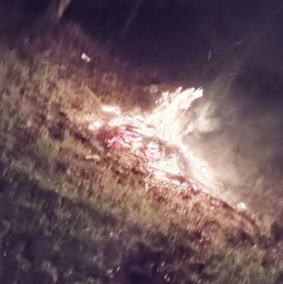 olocausto69's profile picture. 