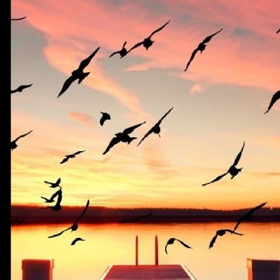 Gass70957272's profile picture. 