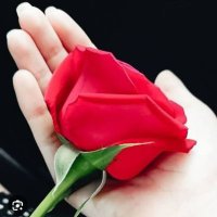 nancy2640 (@nancy26401) 's Twitter Profile Photo nancy2640 (@nancy26401) 's Twitter Profile Photo
