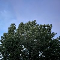 temneyshiy (@mr_mokoronka) 's Twitter Profile