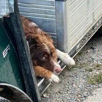 Jay Long (@jaylongturf) 's Twitter Profile