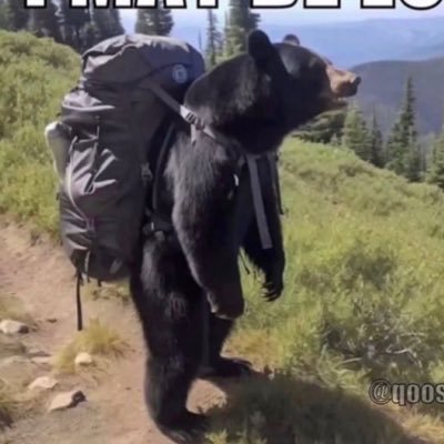 justin_camera5's profile picture. local ball knower rooting for the home team.