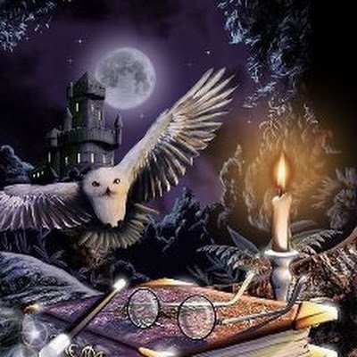 bernhardmaier63's profile picture. 