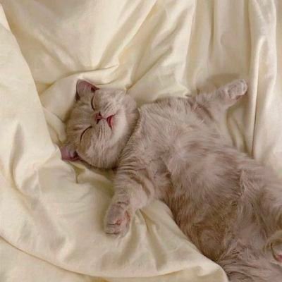 majee_23's profile picture. sinceramente no sé qué poner aquí así q xd