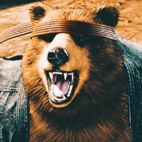 𝐊𝐔𝐌𝐀 𝐈𝐈 (@mishimabear) 's Twitter Profile Photo