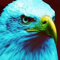 Susan Reborn 🇦🇷MAGA🇦🇷🦅 (@villalasu) 's Twitter Profile Photo