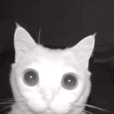 zeziima's profile picture. 