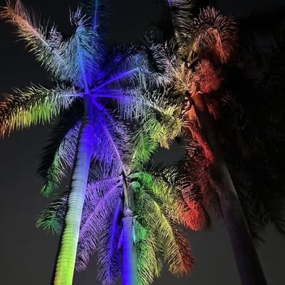 lightingdesigng's profile picture. lighting 

https://t.co/Iy6msdzieq