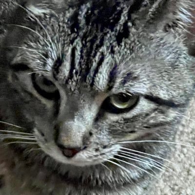 Knittin2it's profile picture. Life is to short to waste enjoy every minute of it. If you have a dream then live it. If you have a goal then achieve it. Give yourself a chance and go for it.