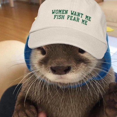 Playboy Otter