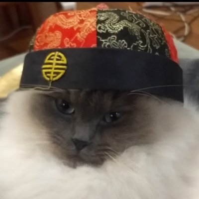 athiestcatholic's profile picture. Fuck russia 🇺🇦