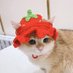 ♡ (@ccrochetly) Twitter profile photo ♡ (@ccrochetly) Twitter profile photo