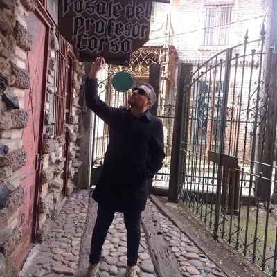 Profesor/ Investigador 

Historia 

Arte