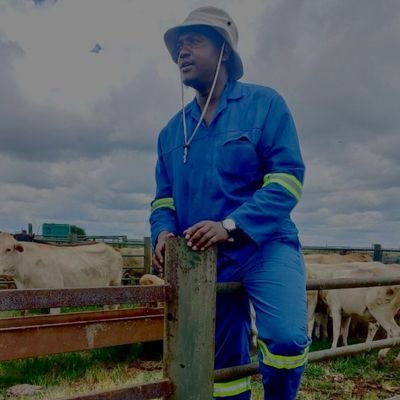 Kavin_Kgaphola's profile picture. we are living a cattle breeder's dream and Soccer lover.