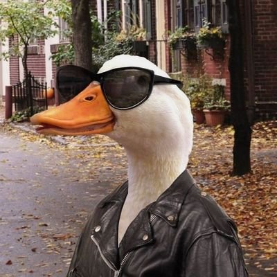 bahh_tche's profile picture. Apenas vivendo e aprendendo