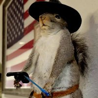 Gayle Galyon (@galyongayle) 's Twitter Profile Photo Gayle Galyon (@galyongayle) 's Twitter Profile Photo