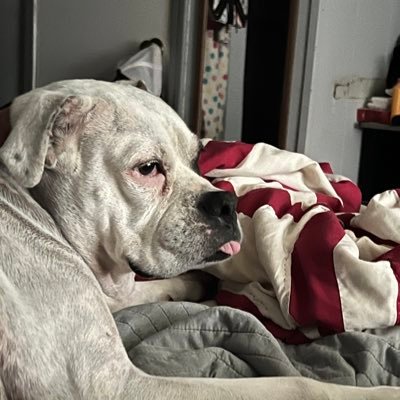 Bamaboy969's profile picture. 