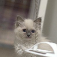 Rich (@richardduton) 's Twitter Profile Photo