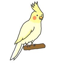 YUZUKONA829's profile picture. 趣味用