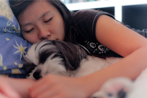 yea_shi's profile picture. 