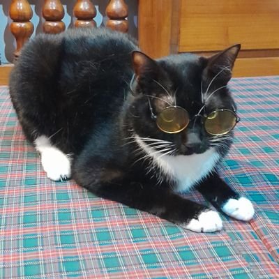 Roof1a's profile picture. 