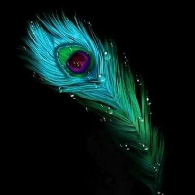 ysdada7524's profile picture. 