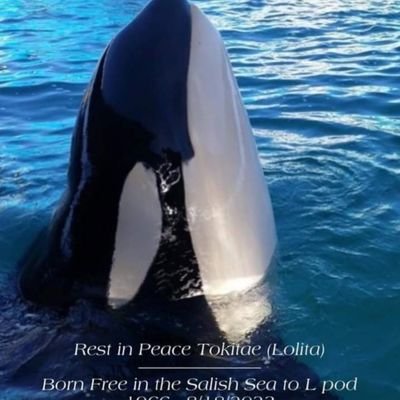 END #Taiji hunts #DontBuyaTicket #CaptivityKills 🐬🐳
#BanTrophyHunting 🐘🦁🦏🐆🐺🐅🦍
#AdoptDontShop 🐶🐱 Care about Earth 🌍 Oceans 🌊🌱🐄🌱🐖🌱