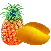 Mango Pineapple(@Mang0P1neapple) 's Twitter Profile Photo