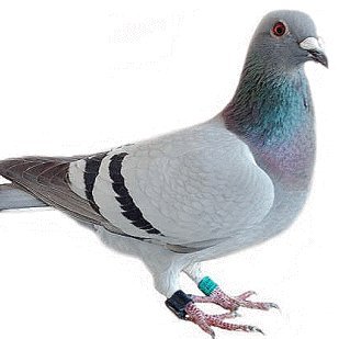 ℂ𝕆ℕ𝕁𝕆𝕀ℕ𝔼𝔻 ℝᐰ𝕍𝕀𝕆𝕃𝕀さんのプロフィール画像
