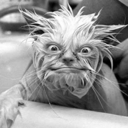 Kerry Leslie - @klkerry5 - Twitter