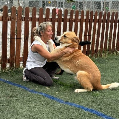 adiestramiento de base y educación canina