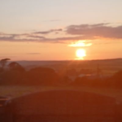 Andrewc1884's profile picture. 🇮🇪