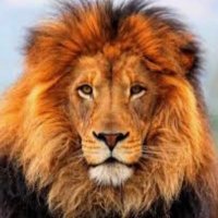 Leo, Isaiah 45:9 - Cogito, ergo sum (@leopennant) 's Twitter Profile