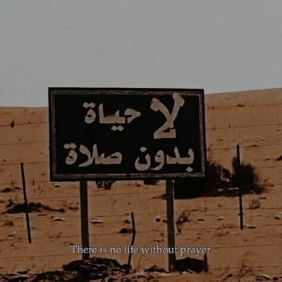 trabrouss's profile picture. Al-sunnah wal jama’a. Front End 🎨- JavaScript - Back End Dev 🎭 - PHP Symfony-Java-springBoot